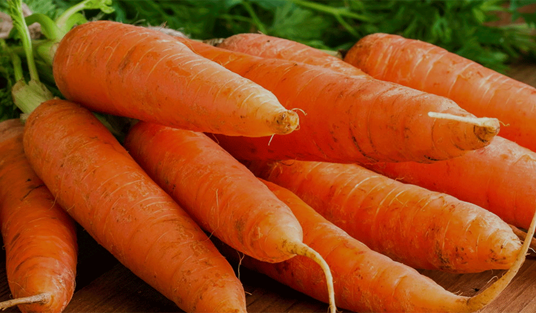 Nutrition and Your Eyes