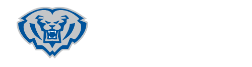 HSE